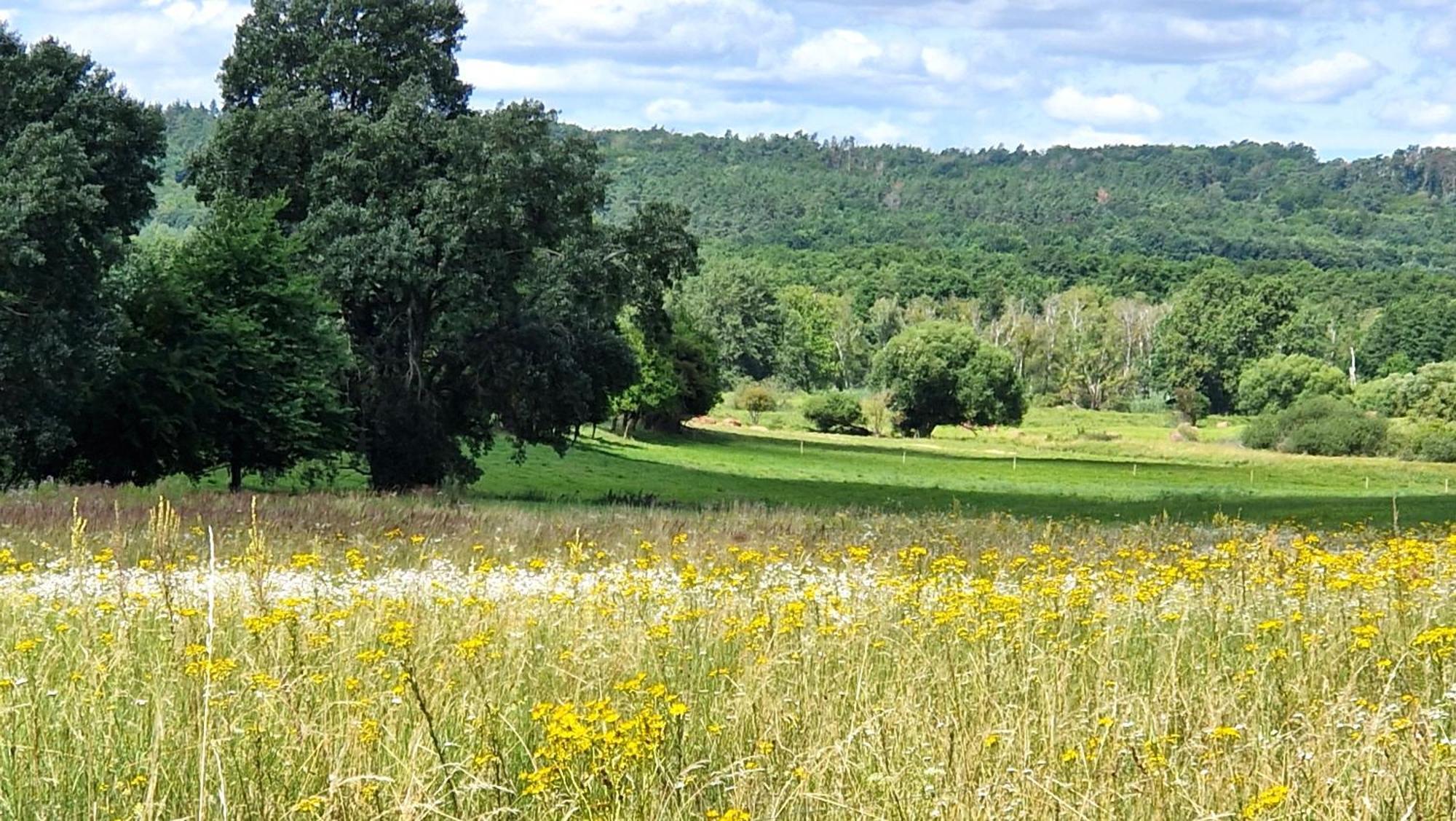 Bed & Breakfast Orlik 3*