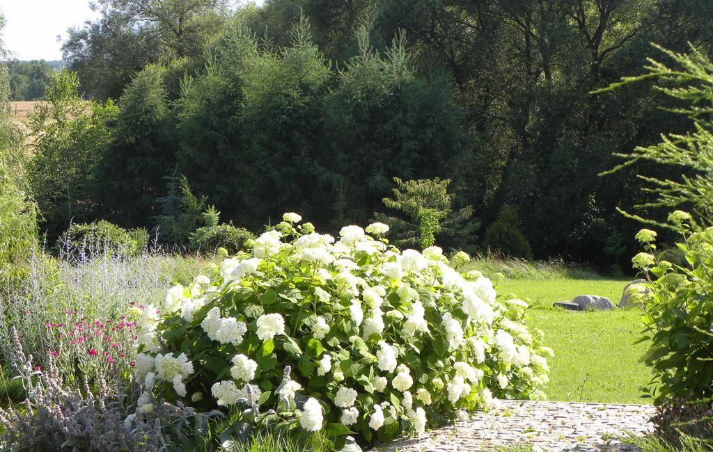 Bed and breakfast Orlik