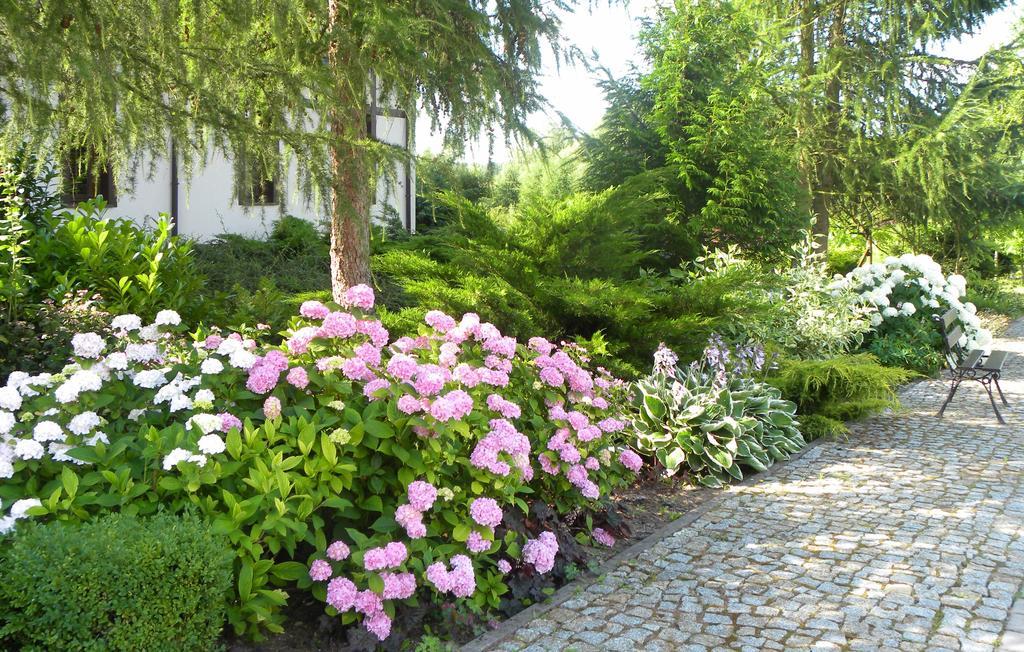 Orlik Bed & Breakfast Barlinek